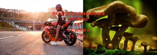 трава Алексеевка