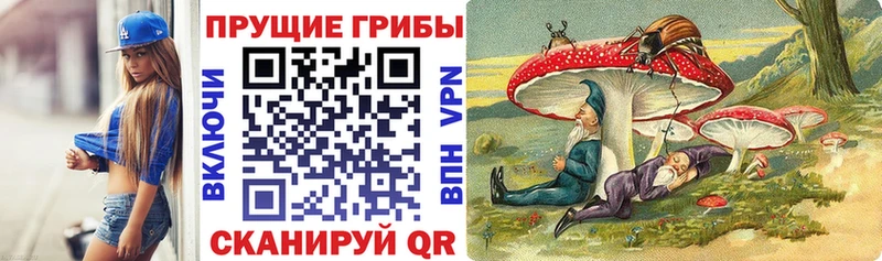 Псилоцибиновые грибы GOLDEN TEACHER  ОМГ ОМГ ТОР  Заволжье 