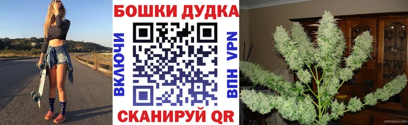 Канабис сатива  где можно купить наркотик  Заволжье 